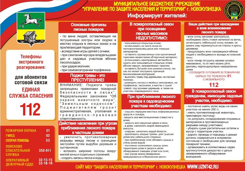 Lesnye-pozhary.jpg