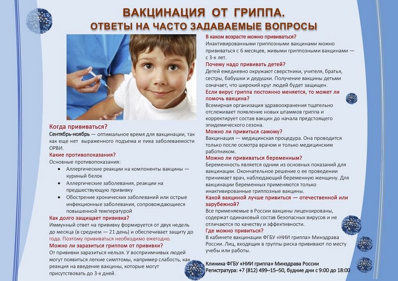 gripp-voprosy-i-otvety-kartinka.jpg
